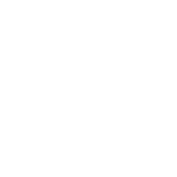 Pan Skull